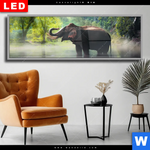 Wechselmotiv Dia Elefant Im Wasser Panorama Produktvorschau mit dem Bild Elefant im Wasser im Format Panorama.