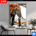 Wechselmotiv Dia Elefant Kraft Der Wildnis Hochformat Produktvorschau mit dem Bild Elefant - Kraft der Wildnis im Format Hochformat.