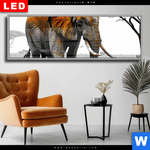 Wechselmotiv Dia Elefant Kraft Der Wildnis Panorama Produktvorschau mit dem Bild Elefant - Kraft der Wildnis im Format Panorama.