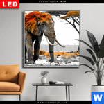 Wechselmotiv Dia Elefant Kraft Der Wildnis Quadrat Produktvorschau mit dem Bild Elefant - Kraft der Wildnis im Format Quadrat.