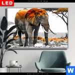 Wechselmotiv Dia Elefant Kraft Der Wildnis Querformat Produktvorschau mit dem Bild Elefant - Kraft der Wildnis im Format Querformat.