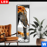 Wechselmotiv Dia Elefant Kraft Der Wildnis Schmal Produktvorschau mit dem Bild Elefant - Kraft der Wildnis im Format Schmal.