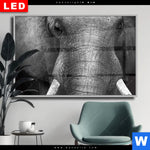 Wechselmotiv Dia Elefant Schwarzweiss Querformat Produktvorschau mit dem Bild Elefant Schwarzweiß im Format Querformat.