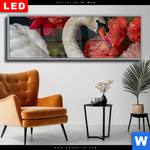 Wechselmotiv Dia Eleganter Schwan Mit Blumen Panorama Produktvorschau mit dem Bild Eleganter Schwan mit Blumen im Format Panorama.