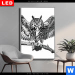 Wechselmotiv Dia Eule Auf Ast Hochformat Produktvorschau mit dem Bild Eule auf Ast im Format Hochformat.