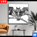 Wechselmotiv Dia Eule Auf Ast Quadrat Produktvorschau mit dem Bild Eule auf Ast im Format Quadrat.