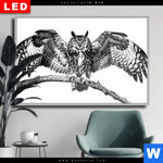 Wechselmotiv Dia Eule Auf Ast Querformat Produktvorschau mit dem Bild Eule auf Ast im Format Querformat.