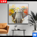 Wechselmotiv Dia Farbenexplosion Mit Elefant Quadrat Produktvorschau mit dem Bild Farbenexplosion mit Elefant im Format Quadrat.
