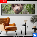 Wechselmotiv Dia Faultier Streckt Zunge Raus Panorama Produktvorschau mit dem Bild Faultier streckt Zunge raus im Format Panorama.