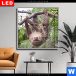 Wechselmotiv Dia Faultier Streckt Zunge Raus Quadrat Produktvorschau mit dem Bild Faultier streckt Zunge raus im Format Quadrat.