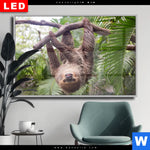 Wechselmotiv Dia Faultier Streckt Zunge Raus Querformat Produktvorschau mit dem Bild Faultier streckt Zunge raus im Format Querformat.