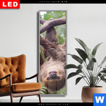 Wechselmotiv Dia Faultier Streckt Zunge Raus Schmal Produktvorschau mit dem Bild Faultier streckt Zunge raus im Format Schmal.