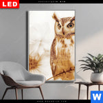 Wechselmotiv Dia Federkleid Trifft Bluetenpracht Hochformat Produktvorschau mit dem Bild Federkleid trifft Blütenpracht im Format Hochformat.