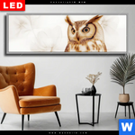 Wechselmotiv Dia Federkleid Trifft Bluetenpracht Panorama Produktvorschau mit dem Bild Federkleid trifft Blütenpracht im Format Panorama.