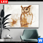 Wechselmotiv Dia Federkleid Trifft Bluetenpracht Querformat Produktvorschau mit dem Bild Federkleid trifft Blütenpracht im Format Querformat.