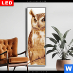 Wechselmotiv Dia Federkleid Trifft Bluetenpracht Schmal Produktvorschau mit dem Bild Federkleid trifft Blütenpracht im Format Schmal.