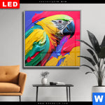Wechselmotiv Dia Federn Papagei Quadrat Produktvorschau mit dem Bild Federn Papagei im Format Quadrat.