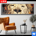 Wechselmotiv Dia Feuer Loewe Panorama Produktvorschau mit dem Bild Feuer Löwe im Format Panorama.