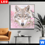Wechselmotiv Dia Friedlicher Wolf Quadrat Produktvorschau mit dem Bild Friedlicher Wolf im Format Quadrat.