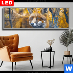 Wechselmotiv Dia Fuchs Im Blaetterwald Panorama Produktvorschau mit dem Bild Fuchs im Blätterwald im Format Panorama.