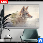 Wechselmotiv Dia Fuchs Wald Querformat Produktvorschau mit dem Bild Fuchs & Wald im Format Querformat.