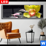 Wechselmotiv Dia Gelbe Orchidee Panorama Produktvorschau mit dem Bild Gelbe Orchidee im Format Panorama.