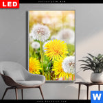 Wechselmotiv Dia Gelber Loewenzahn Hochformat Produktvorschau mit dem Bild Gelber Löwenzahn im Format Hochformat.