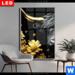 Wechselmotiv Dia Goldenes Hochlandrind Hochformat Produktvorschau mit dem Bild Goldenes Hochlandrind im Format Hochformat.