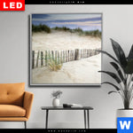Wechselmotiv Dia Graeser Am Ostseestrand Quadrat Produktvorschau mit dem Bild Gräser am Ostseestrand im Format Quadrat.