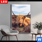 Wechselmotiv Dia Grasendes Hochlandrind Hochformat Produktvorschau mit dem Bild Grasendes Hochlandrind im Format Hochformat.