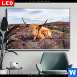 Wechselmotiv Dia Grasendes Hochlandrind Querformat Produktvorschau mit dem Bild Grasendes Hochlandrind im Format Querformat.