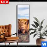 Wechselmotiv Dia Grasendes Hochlandrind Schmal Produktvorschau mit dem Bild Grasendes Hochlandrind im Format Schmal.