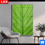 Wechselmotiv Dia Gruene Blattadern Hochformat Produktvorschau mit dem Bild Grüne Blattadern im Format Hochformat.