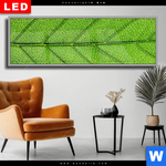 Wechselmotiv Dia Gruene Blattadern Panorama Produktvorschau mit dem Bild Grüne Blattadern im Format Panorama.