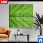 Wechselmotiv Dia Gruene Blattadern Quadrat Produktvorschau mit dem Bild Grüne Blattadern im Format Quadrat.