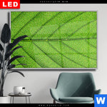 Wechselmotiv Dia Gruene Blattadern Querformat Produktvorschau mit dem Bild Grüne Blattadern im Format Querformat.