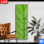 Wechselmotiv Dia Gruene Blattadern Schmal Produktvorschau mit dem Bild Grüne Blattadern im Format Schmal.