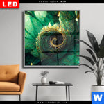 Wechselmotiv Dia Gruene Spiralblaetter Quadrat Produktvorschau mit dem Bild Grüne Spiralblätter im Format Quadrat.