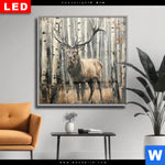 Wechselmotiv Dia Hirsch Im Birkenwald Quadrat Produktvorschau mit dem Bild Hirsch im Birkenwald im Format Quadrat.