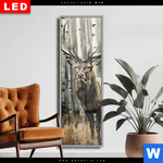 Wechselmotiv Dia Hirsch Im Birkenwald Schmal Produktvorschau mit dem Bild Hirsch im Birkenwald im Format Schmal.