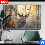 Wechselmotiv Dia Hirsch Im Morgenlicht Querformat Produktvorschau mit dem Bild Hirsch im Morgenlicht im Format Querformat.