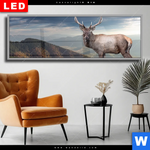 Wechselmotiv Dia Hirsch In Der Herbstzeit Panorama Produktvorschau mit dem Bild Hirsch in der Herbstzeit im Format Panorama.