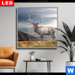 Wechselmotiv Dia Hirsch In Der Herbstzeit Quadrat Produktvorschau mit dem Bild Hirsch in der Herbstzeit im Format Quadrat.