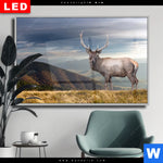 Wechselmotiv Dia Hirsch In Der Herbstzeit Querformat Produktvorschau mit dem Bild Hirsch in der Herbstzeit im Format Querformat.