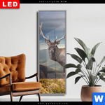 Wechselmotiv Dia Hirsch In Der Herbstzeit Schmal Produktvorschau mit dem Bild Hirsch in der Herbstzeit im Format Schmal.