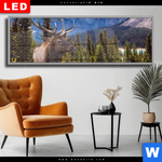 Wechselmotiv Dia Hirsch Vor Bergkulisse Panorama Produktvorschau mit dem Bild Hirsch vor Bergkulisse im Format Panorama.