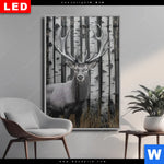 Wechselmotiv Dia Hirschportraet Vor Birken Hochformat Produktvorschau mit dem Bild Hirschporträt vor Birken im Format Hochformat.