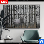 Wechselmotiv Dia Hirschportraet Vor Birken Querformat Produktvorschau mit dem Bild Hirschporträt vor Birken im Format Querformat.