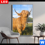 Wechselmotiv Dia Hochland Bulle Hochformat Produktvorschau mit dem Bild Hochland-Bulle im Format Hochformat.