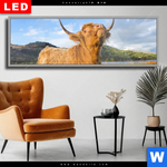 Wechselmotiv Dia Hochland Bulle Panorama Produktvorschau mit dem Bild Hochland-Bulle im Format Panorama.